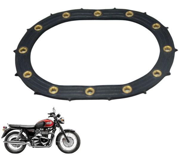 Flange Bomba Combustível Triumph Bonneville T100 13-15 Orig