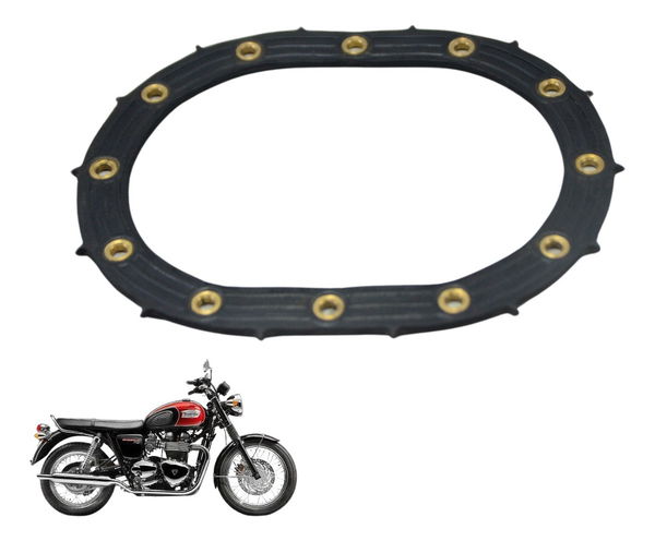 Flange Bomba Combustível Triumph Bonneville T100 13-15 Orig
