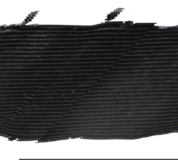 Radiador C/ Avaria Honda Cb 600f Hornet 12-14 Original