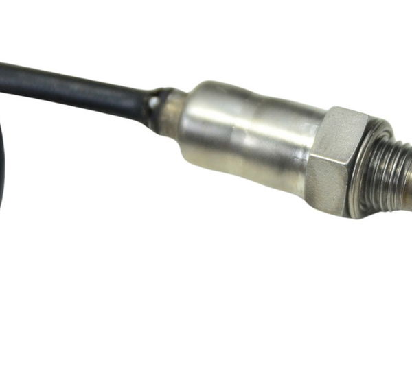 Sonda Lambda Triumph Bonneville T100 13-15 Original