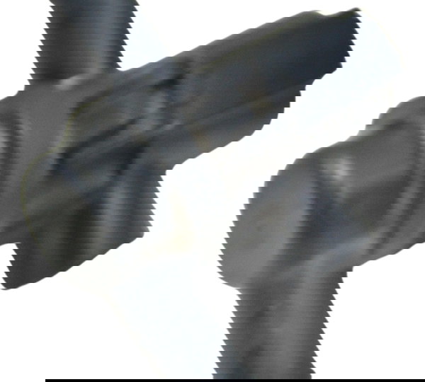 Válvula Pressão Ar Triumph Bonneville T100 13-15 Original