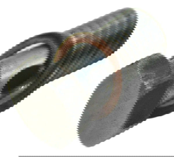 Parafuso Radiador Pequeno Triumph Bonneville T100 13-15 Orig