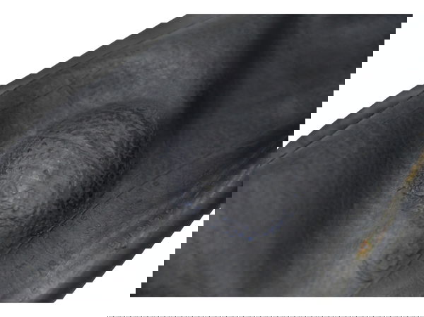Câmara Pirelli 140-80/17 Triumph Bonneville T100 13-15