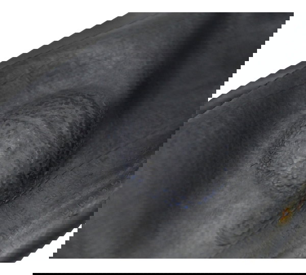 Câmara Pirelli 100-90/19 Triumph Bonneville T100 13-15 Dunlop