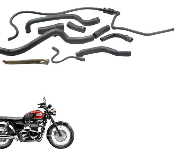 Kit Mangueiras Triumph Bonneville T100 13-15 Original