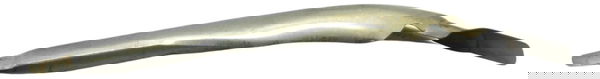 Protetor Capa Curva Escape Harley Sportster 07-22 Original