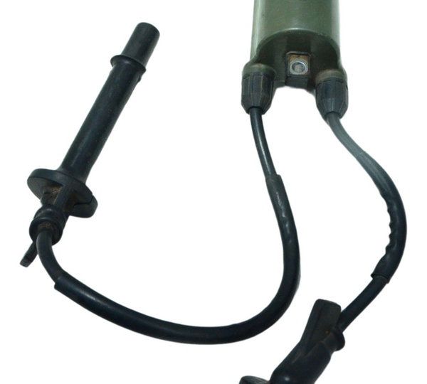 Bobina Ignição Honda Cb 600f Hornet 12-14 Original