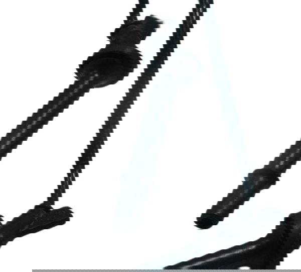 Bobina Ignição Honda Cb 600f Hornet 12-14 Original