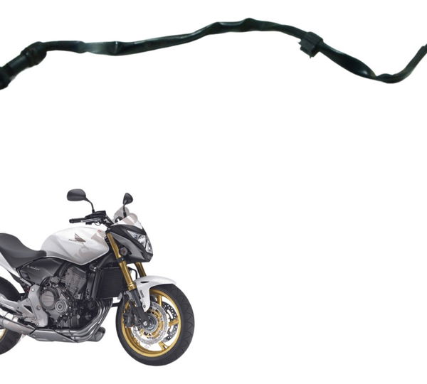 Interruptor Freio Tras Honda Cb 600f Hornet 12-14 Original