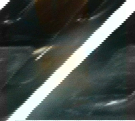 Rele Auxiliar Honda Cb 600f Hornet 12-14 Original