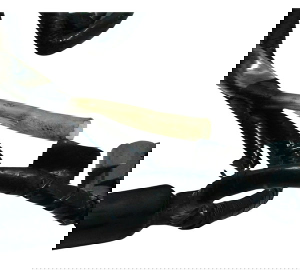 Chicote Injeção Honda Cb 600f Hornet 12-14 Original