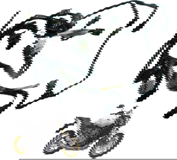 Chicote Injeção Honda Cb 600f Hornet 12-14 Original