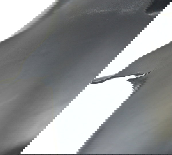 Paralama Interno Tras Avaria Bmw R1200 R 1200 Gs 08-12 Orig