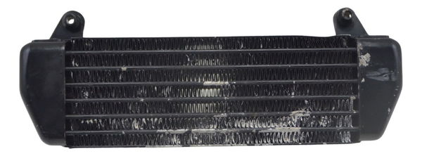 Radiador Óleo C/ Detalhes Bmw R1200 R 1200 Gs 08-12 Original