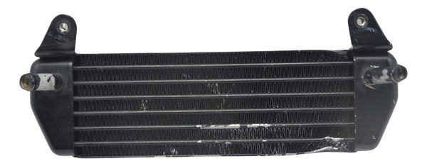 Radiador Óleo C/ Detalhes Bmw R1200 R 1200 Gs 08-12 Original