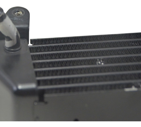 Radiador Óleo C/ Detalhes Bmw R1200 R 1200 Gs 08-12 Original