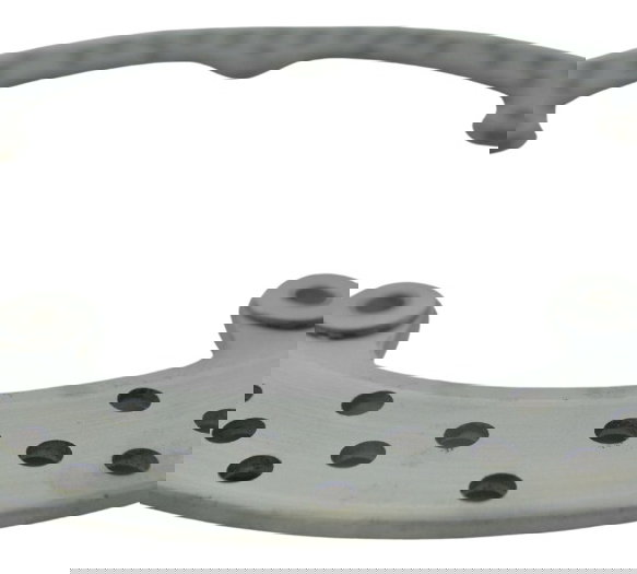 Disco Freio Dianteiro Bmw R1200 R 1200 Gs 08-12 Original