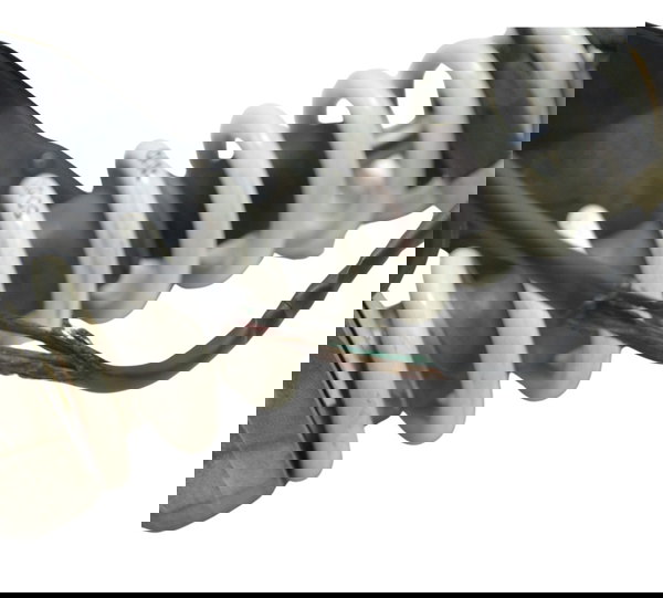 Amortecedor Traseiro C/ Avari Bmw R1200 R 1200 Gs 08-12 Orig