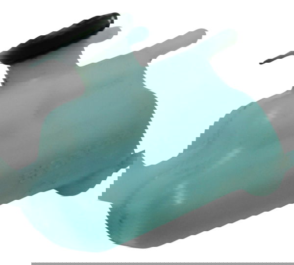 Reservatório Agua Honda Adv 150 20-24 Original