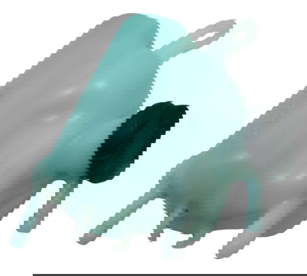 Reservatório Agua Honda Adv 150 20-24 Original