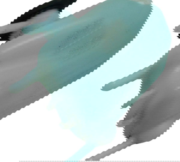 Reservatório Agua Honda Adv 150 20-24 Original