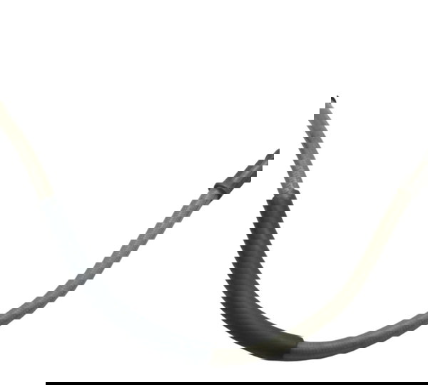 Flexível Freio Dianteiro Bmw R1200 R 1200 Gs 08-12 Original