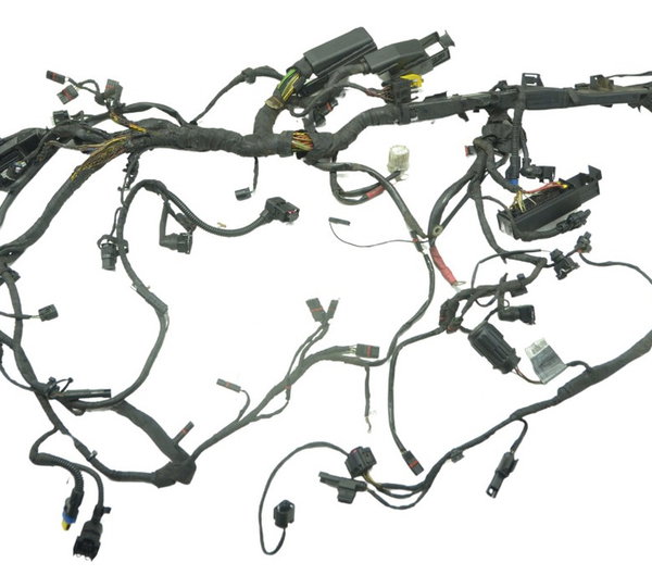 Chicote Principal C/ Esa Bmw R1200 R 1200 Gs 08-12 Original