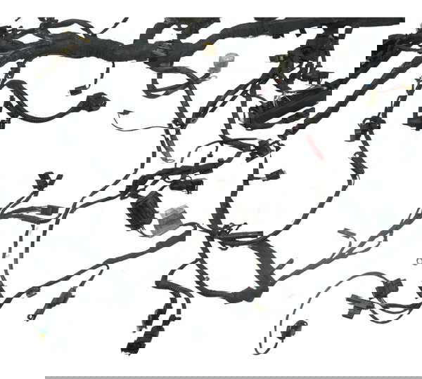 Chicote Principal C/ Esa Bmw R1200 R 1200 Gs 08-12 Original