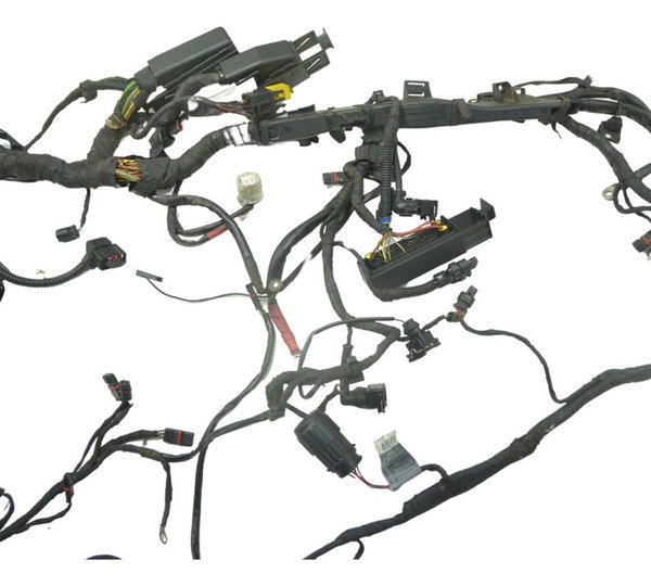 Chicote Principal C/ Esa Bmw R1200 R 1200 Gs 08-12 Original