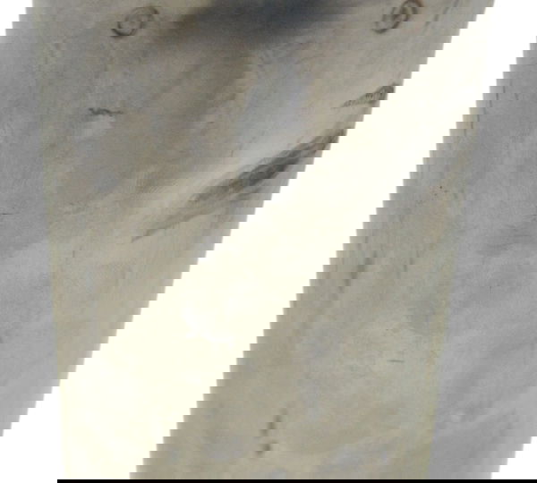 Capa Bengala C/ Avaria Harley Street Glide Touring 11-13