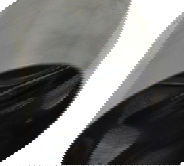 Capa Bengala C/ Avaria Harley Street Glide Touring 11-13