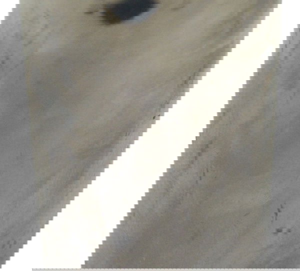 Capa Bengala C/ Avaria Harley Street Glide Touring 11-13