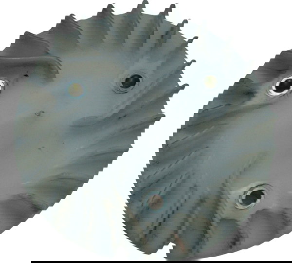 Ventoinha Radiador Honda Adv 150 20-24 Original