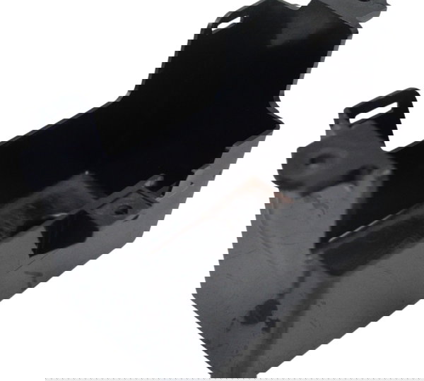 Caixa Bateria Kawasaki Ninja 250 R 08-12 Original Preto