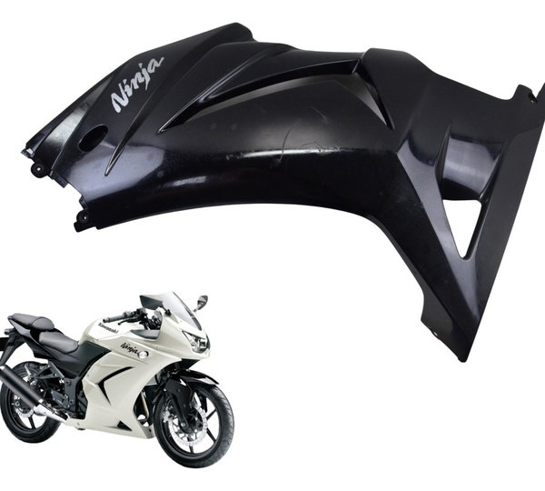 Carenagem Lateral Esq C/det Kawasaki Ninja 250 R 08-12 Orig Preto