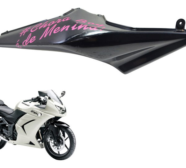 Carenagem Rabeta Dir C/ Det Kawasaki Ninja 250 R 08-12 Orig Preto