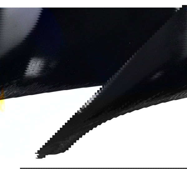 Carenagem Farol C/avaria Kawasaki Ninja 250 R 08-12 Original Preto