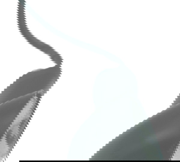 Carcaça Pisca Tras Dir Royal Enfield Meteor 350 21-24 Orig