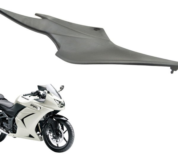 Carenagem Lateral Esquerda Kawasaki Ninja 250 R 08-12 Orig Preto