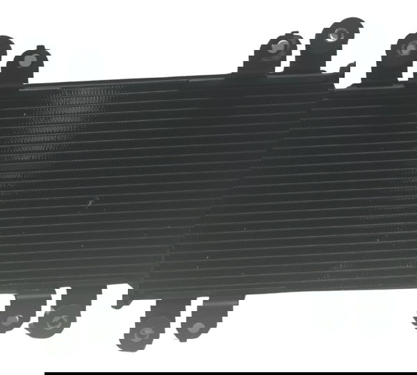 Radiador Kawasaki Z 300 13-18 Original