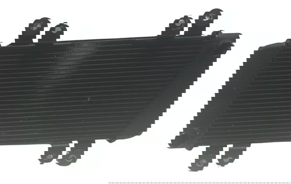 Radiador Kawasaki Z 300 13-18 Original