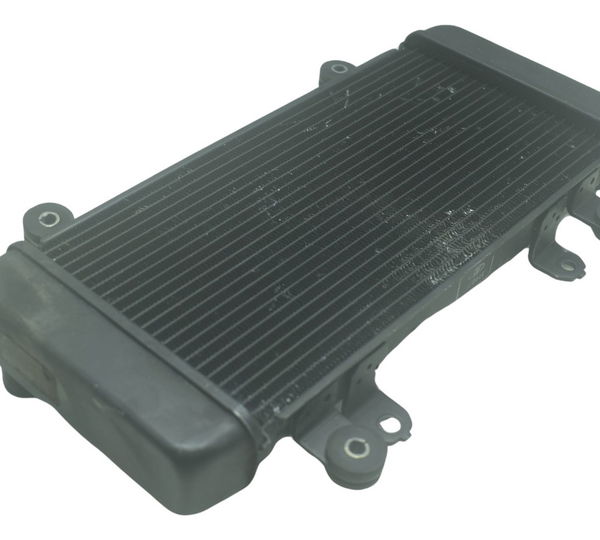 Radiador Kawasaki Z 300 13-18 Original