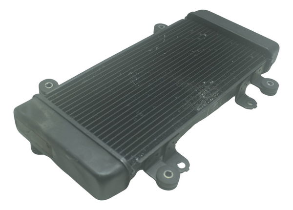 Radiador Kawasaki Z 300 13-18 Original