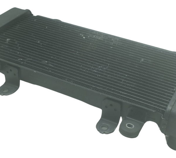 Radiador Kawasaki Z 300 13-18 Original