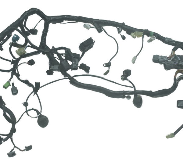 Chicote Principal Kawasaki Z 300 13-18 Original