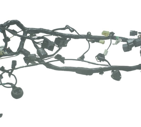 Chicote Principal Kawasaki Z 300 13-18 Original