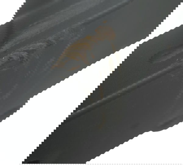 Balança C/ Detalhes Kawasaki Z 300 13-18 Original