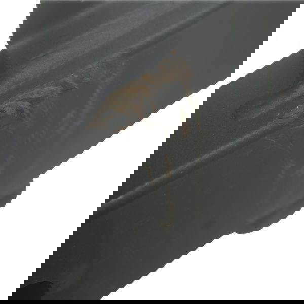Balança C/ Detalhes Kawasaki Z 300 13-18 Original