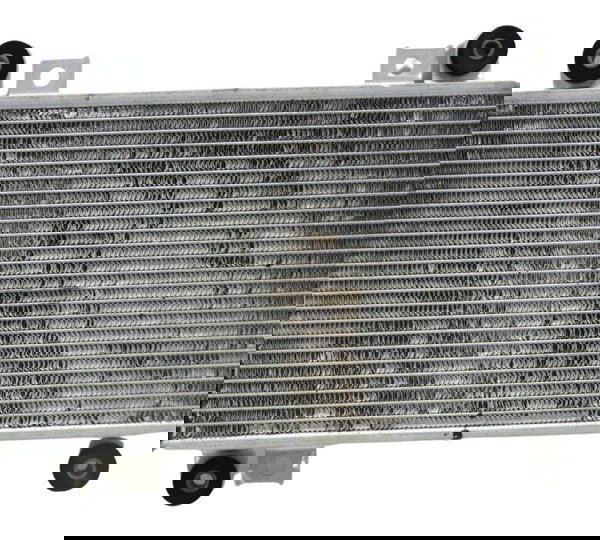 Radiador Kawasaki Ninja 250 R 08-12 Original