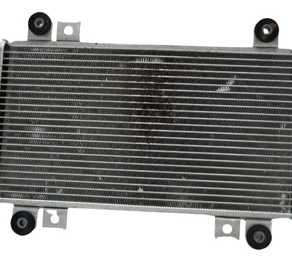 Radiador Kawasaki Ninja 250 R 08-12 Original